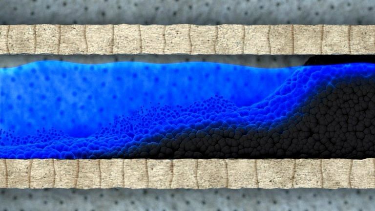 Application and effect of DPF cleaning